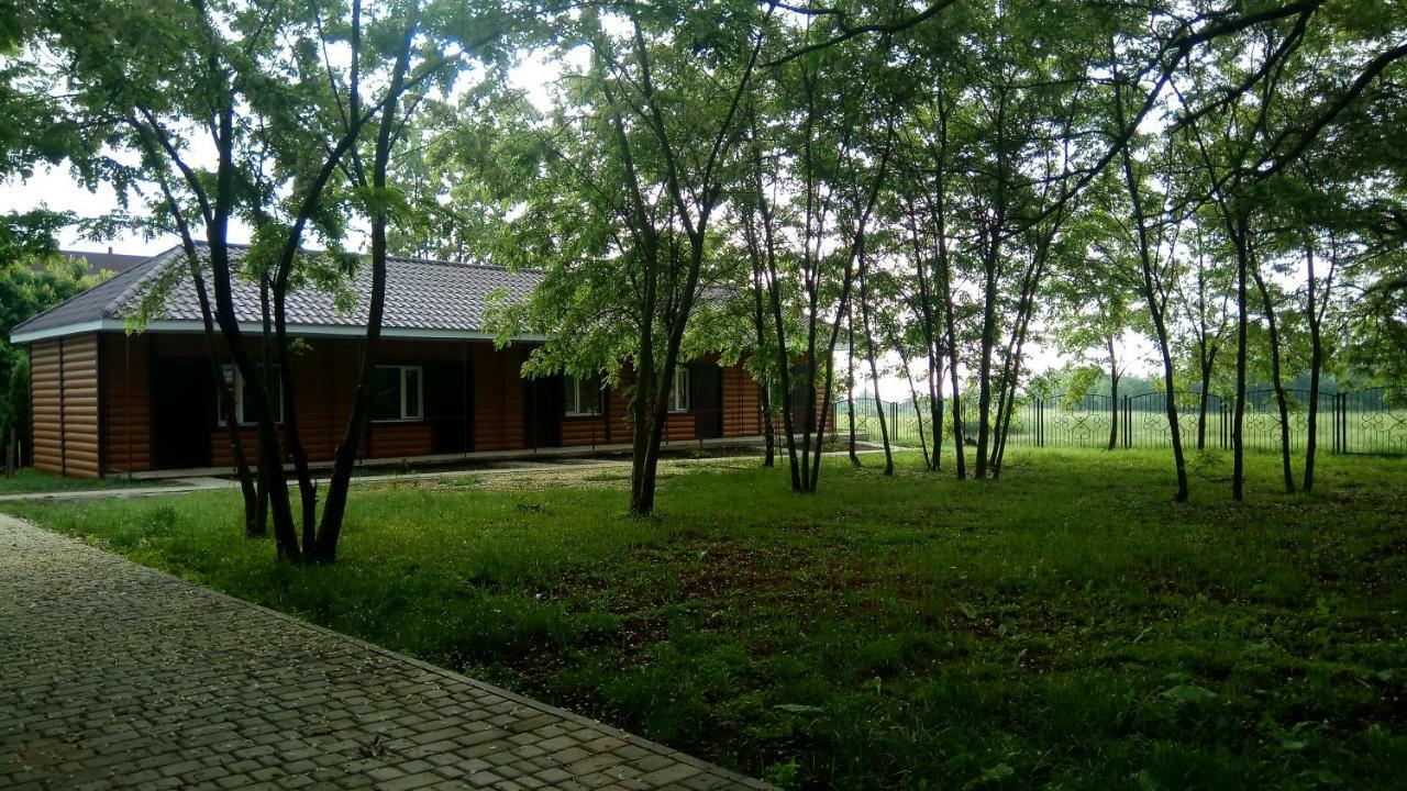 Отель "Лагита" Sergeyevka Luaran gambar